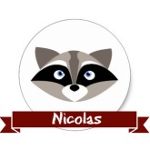 raccoon-nico